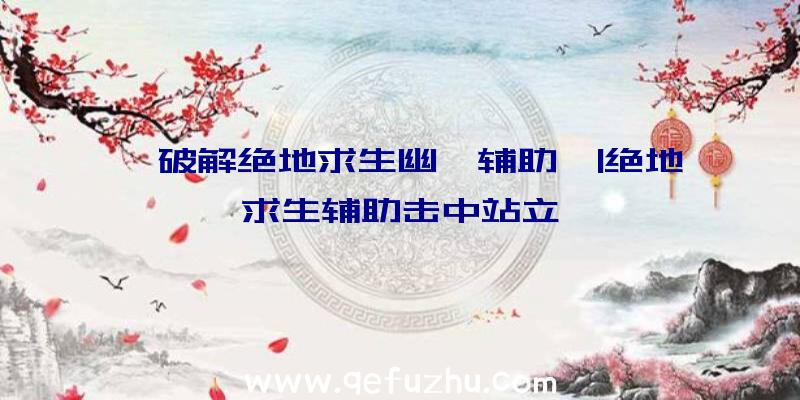 「破解绝地求生幽冥辅助」|绝地求生辅助击中站立